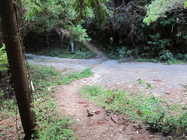 t09_114.jpg