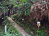 t09_115_thumb.jpg