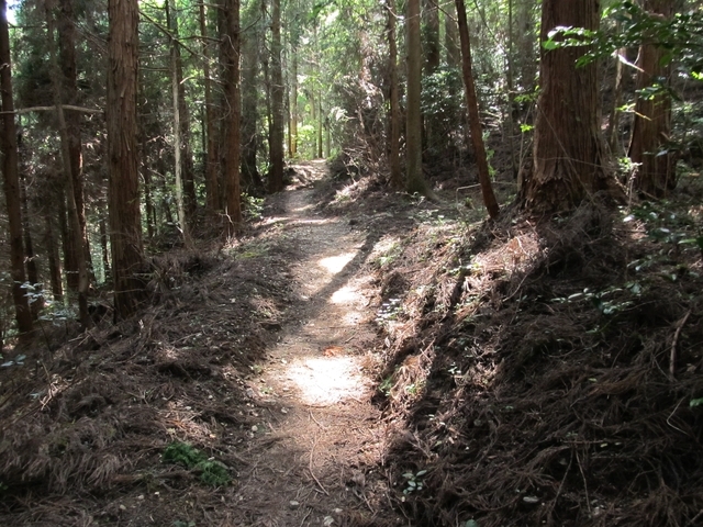 t09_116.jpg