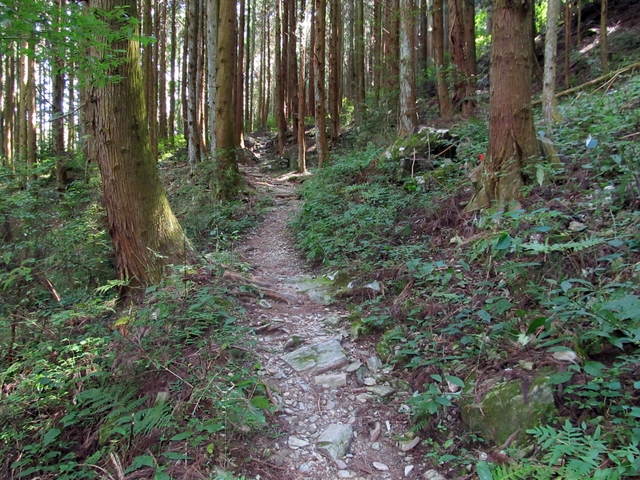 t09_117.jpg