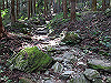 t09_118_thumb.jpg
