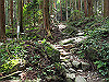 t09_119_thumb.jpg