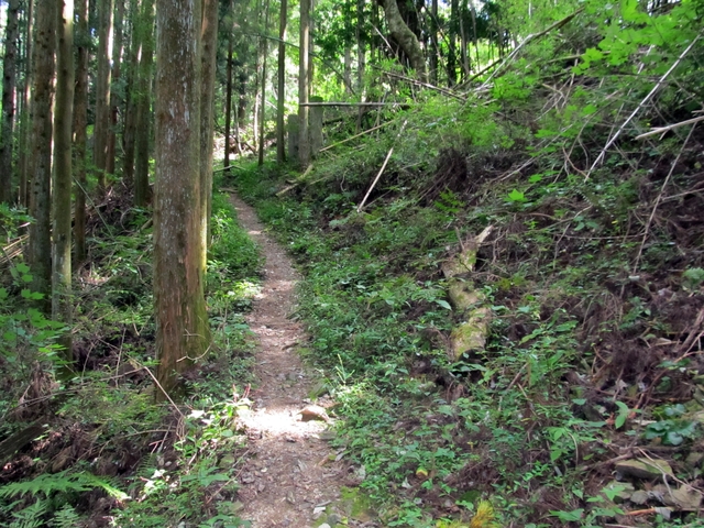 t09_123.jpg