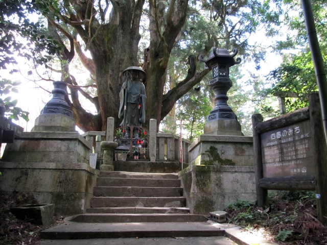 t09_125.jpg
