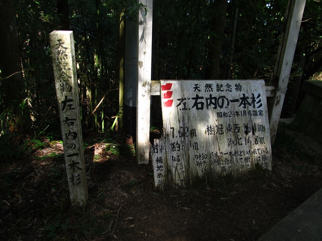 t09_127.jpg