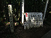 t09_127_thumb.jpg