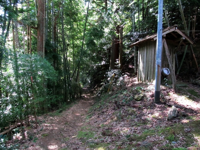 t09_128.jpg