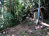 t09_128_thumb.jpg