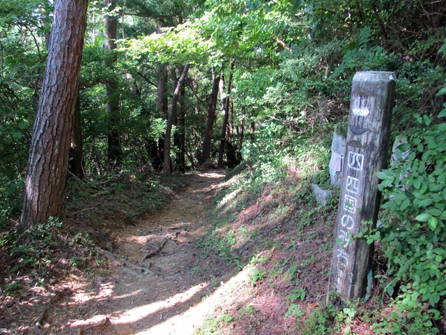 t09_130.jpg