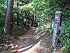 t09_130_thumb.jpg