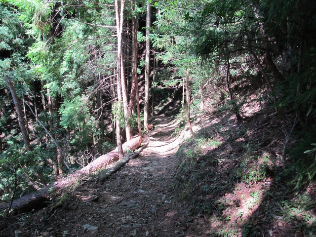 t09_131.jpg