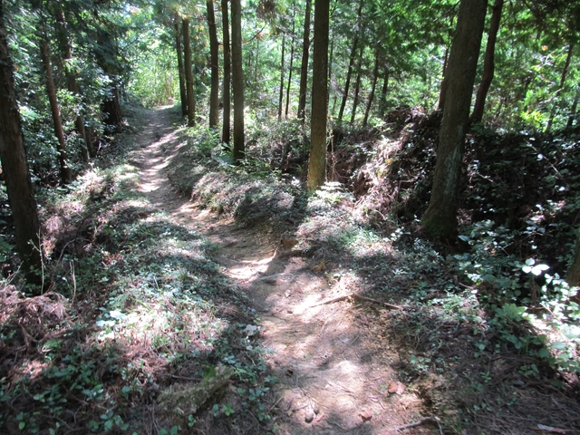 t09_133.jpg
