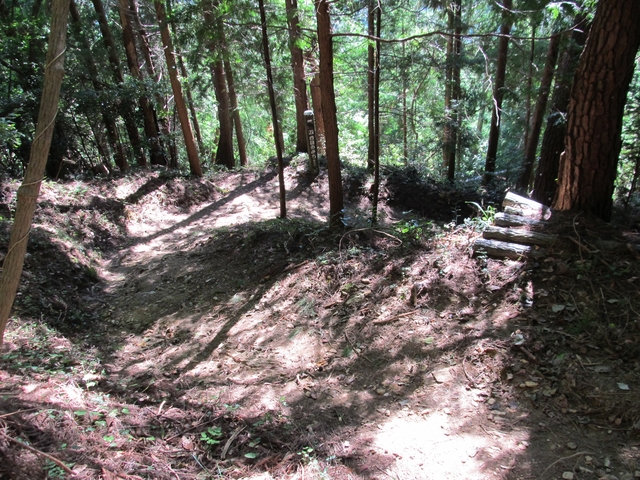 t09_134.jpg