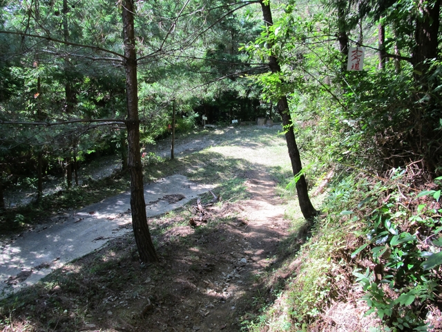 t09_136.jpg