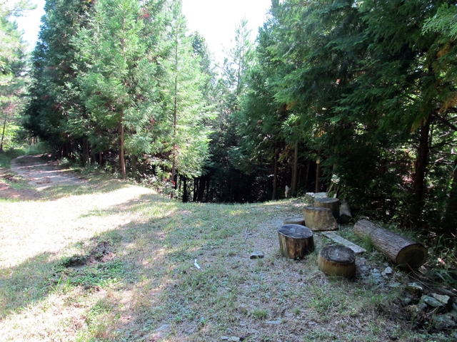 t09_137.jpg
