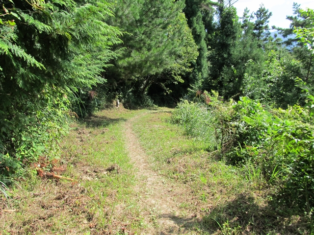 t09_138.jpg