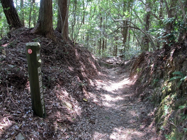 t09_139.jpg