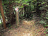 t09_140_thumb.jpg