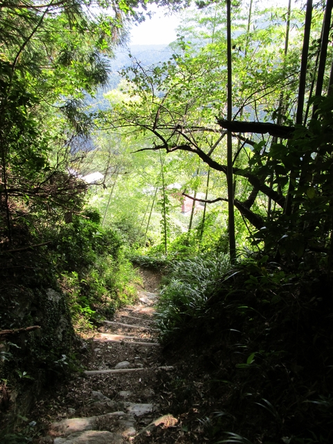 t09_141.jpg
