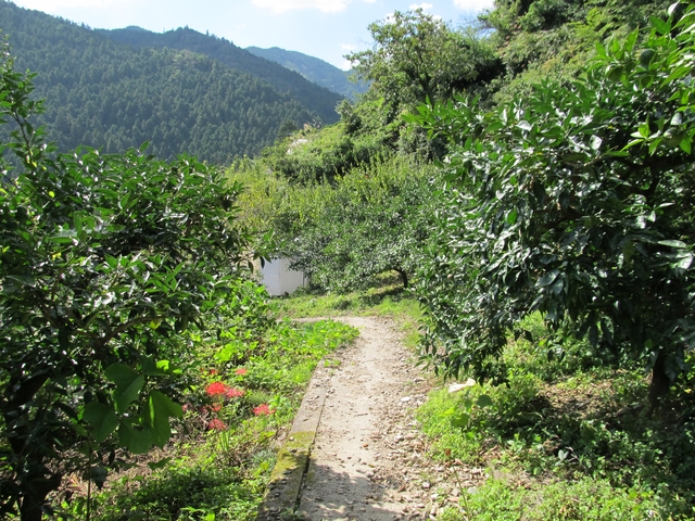 t09_143.jpg
