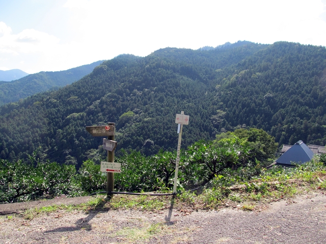 t09_145.jpg
