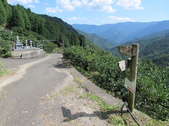t09_146.jpg