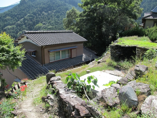 t09_150.jpg
