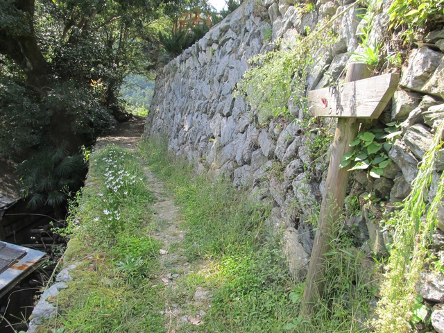 t09_151.jpg