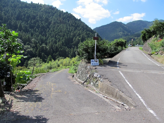 t09_154.jpg