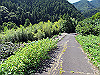 t09_155_thumb.jpg