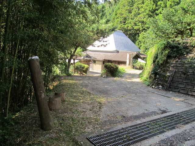 t09_156.jpg