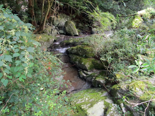 t09_159.jpg