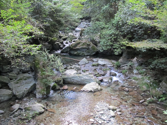 t09_163.jpg
