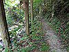 t09_164_thumb.jpg