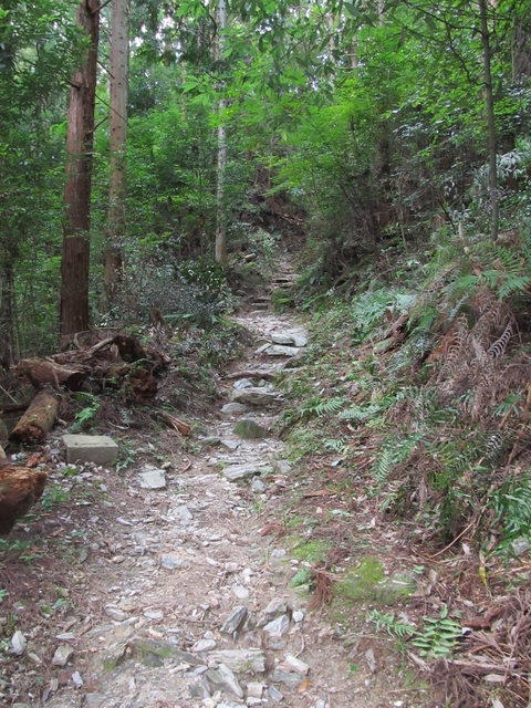 t09_167.jpg