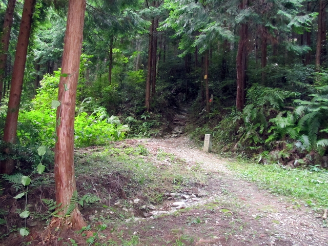 t09_170.jpg