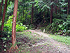 t09_170_thumb.jpg