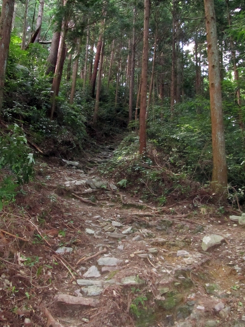 t09_173.jpg