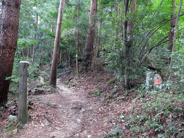 t09_174.jpg