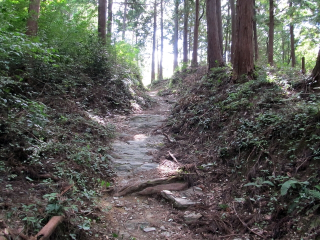 t09_176.jpg