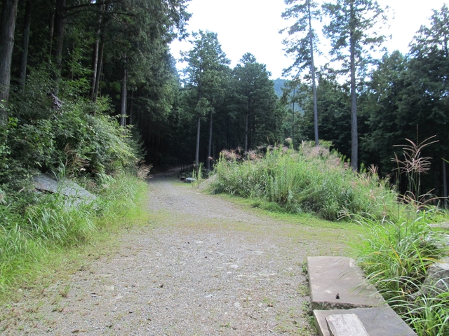 t09_178.jpg