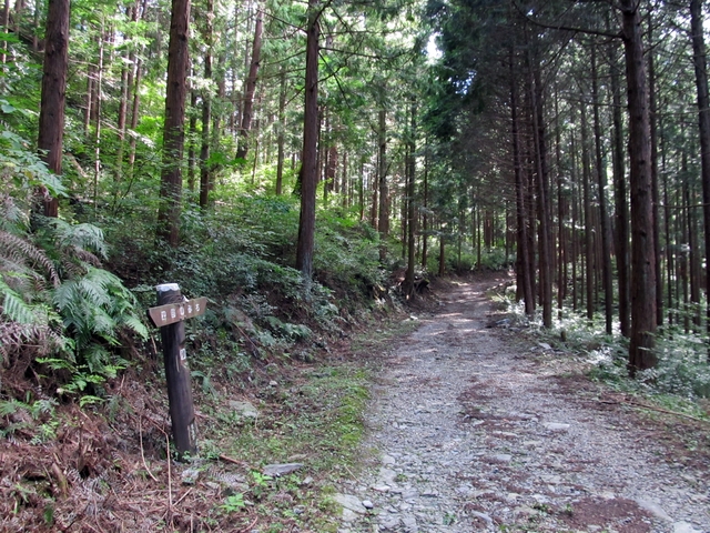 t09_180.jpg