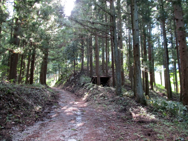 t09_181.jpg