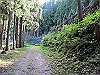 t09_182_thumb.jpg