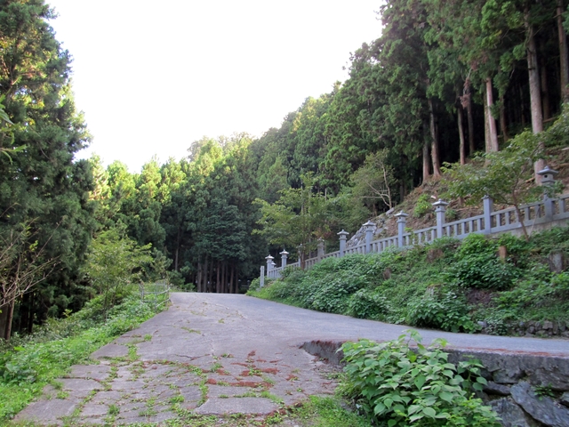 t09_183.jpg