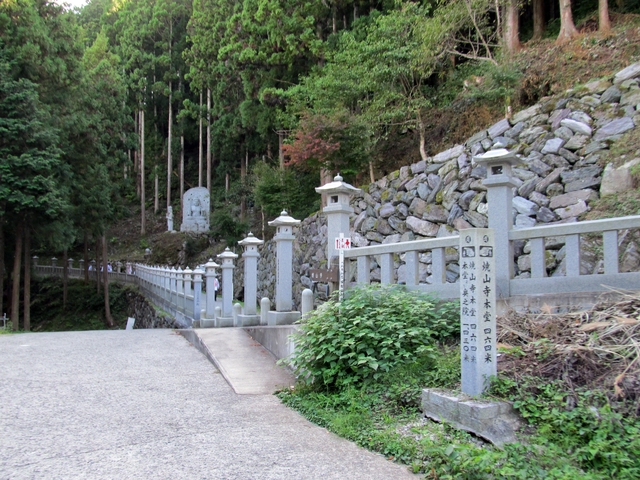 t09_184.jpg