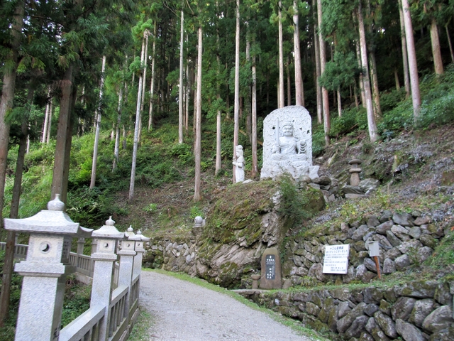 t09_185.jpg