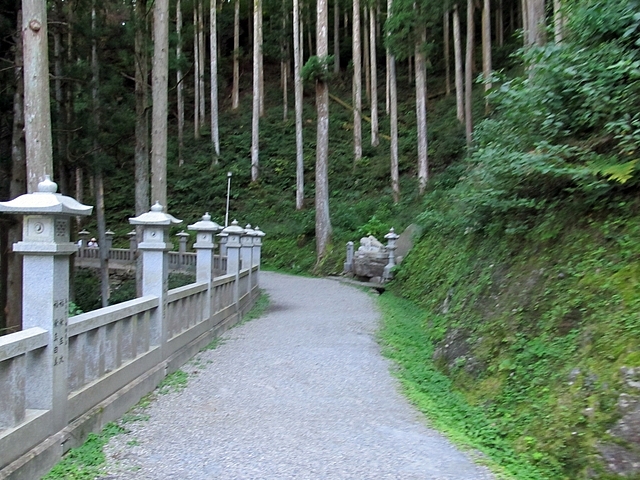 t09_186.jpg