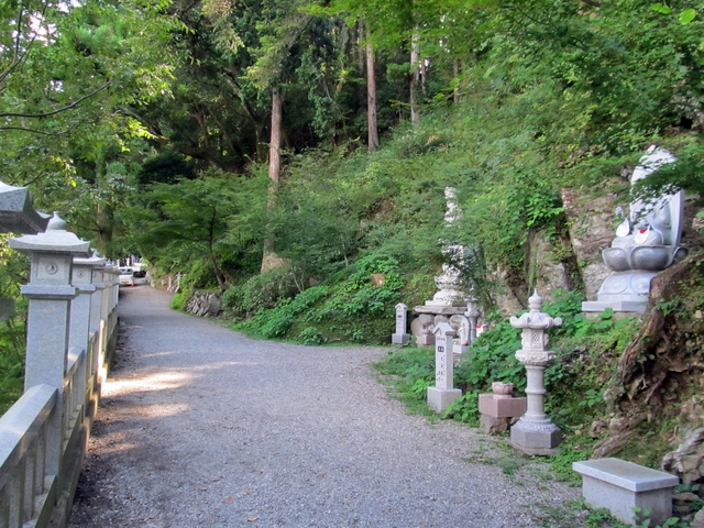 t09_189.jpg
