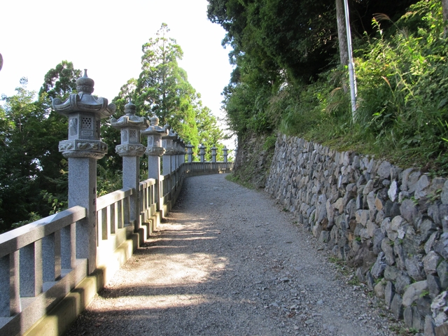 t09_191.jpg